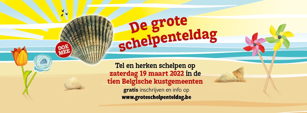 Belgian Big Seashell Survey 2022 Belgian Big Seashell Survey 2022