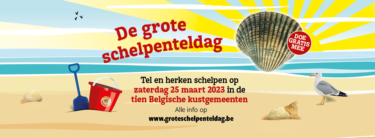 Belgian Big Seashell Survey 2023 Belgian Big Seashell Survey 2023