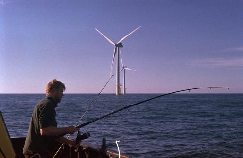 Telemetrie: de whereabouts van vissen Telemetrie: de whereabouts van vissen