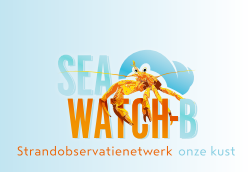 Seawatch-B opleiding 'herkennen van gekruide visjes'