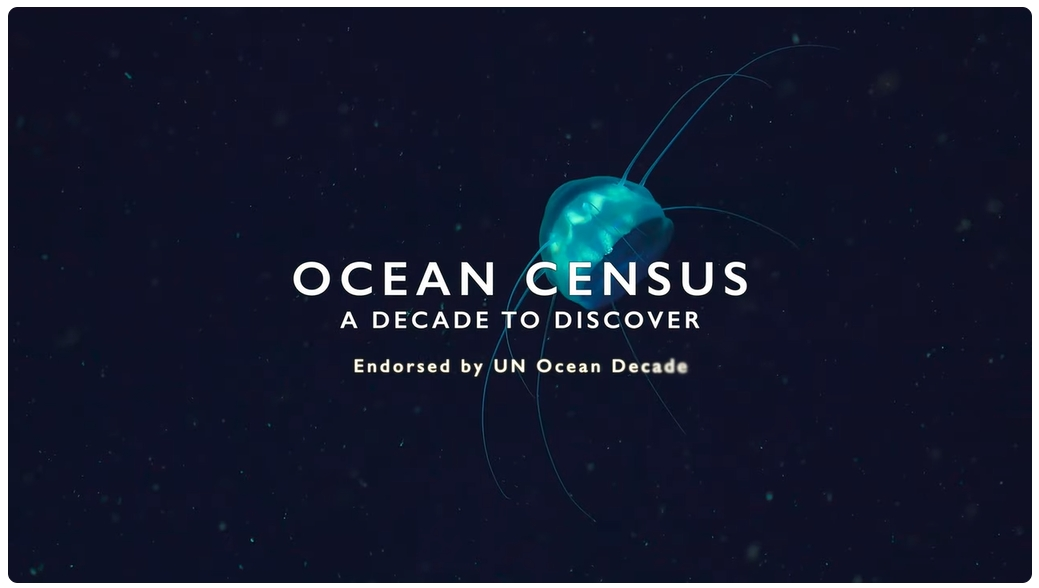 Ocean Census