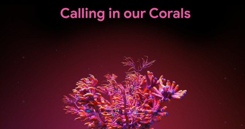 Calling in our Corals: citizens helping to recognise underwater sounds