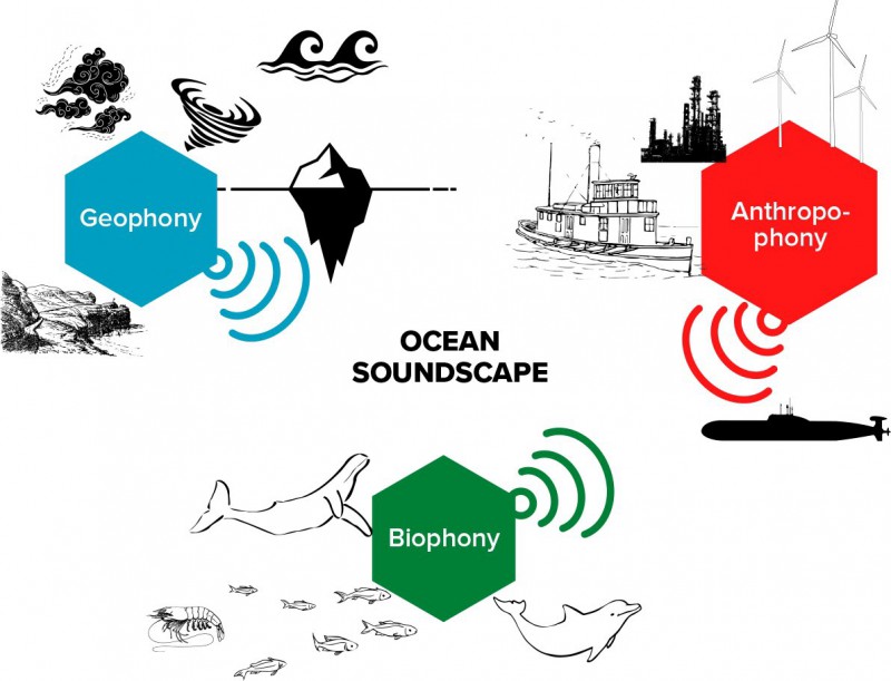 What is the difference in the soundscape of the Gulf of Tribugá in Colombia and the Belgian Part of the North Sea?