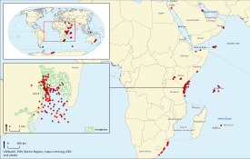 NEW DATA PAPER: Biodiversity data rescue in the framework of a long-term Kenya-Belgium cooperation in marine sciences.