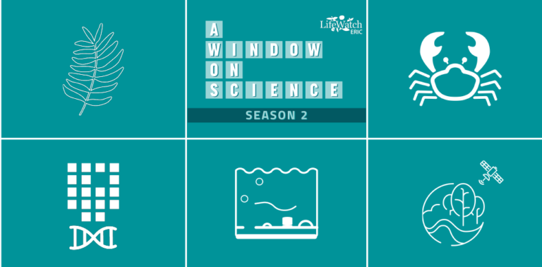 Artificial reefs in the spotlight in the podcast series “A Window on Science”
