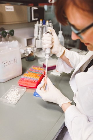 RBINS and RMCA recruit: Scientific Collaborator (m/f/x) for the BopCo project RBINS and RMCA recruit: Scientific Collaborator (m/f/x) for the BopCo project