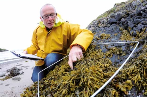 European Marine Board calls for more coherent biological ocean observations in Europe European Marine Board calls for more coherent biological ocean observations in Europe