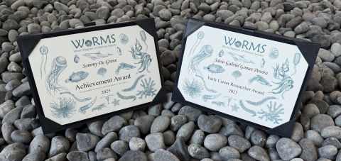 Awardees for the 2025 WoRMS Achievement & Early Career Researcher Award known
