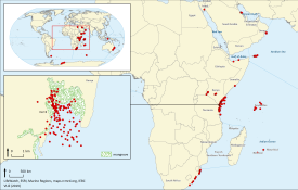 NEW DATA PAPER: Biodiversity data rescue in the framework of a long-term Kenya-Belgium cooperation in marine sciences. NEW DATA PAPER: Biodiversity data rescue in the framework of a long-term Kenya-Belgium cooperation in marine sciences.