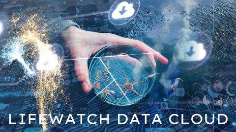 The LifeWatch Data Cloud is launched! The LifeWatch Data Cloud is launched!