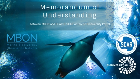 Coordinating the observation of biodiversity in the sea: a new collaboration Coordinating the observation of biodiversity in the sea: a new collaboration