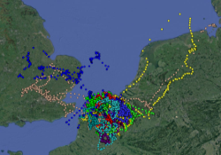 The LifeWatch Gulls and Harriers: who are they, what do they do, and where are they going? The LifeWatch Gulls and Harriers: who are they, what do they do, and where are they going?