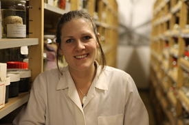 New Steering Committee, Chair and Vice-chair in place for WoRMS