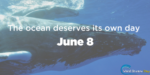 8 June: World Oceans Day! 8 June: World Oceans Day!