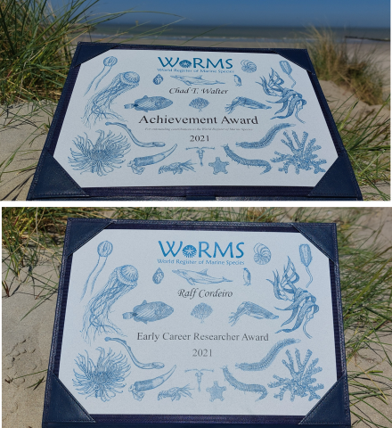 Awardees for the 2021 WoRMS Achievement & Early Career Researchers Award known Awardees for the 2021 WoRMS Achievement & Early Career Researchers Award known