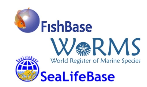 WoRMS, FishBase and SeaLifeBase sign a Memorandum of Understanding WoRMS, FishBase and SeaLifeBase sign a Memorandum of Understanding