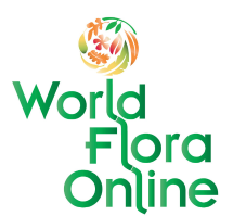 The World Flora Online & the International Compositae Alliance join forces The World Flora Online & the International Compositae Alliance join forces