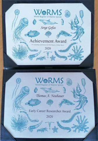 Awardees for the 2020 WoRMS Achievement & Early Career Researchers Award known Awardees for the 2020 WoRMS Achievement & Early Career Researchers Award known