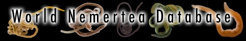 Nemertea Portal launched! Nemertea Portal launched!