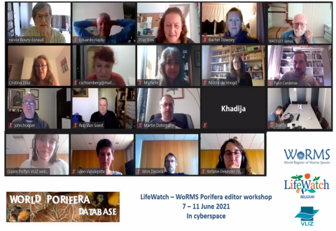 Porifera editors participated in the very first online organised WoRMS-LifeWatch editor workshop Porifera editors participated in the very first online organised WoRMS-LifeWatch editor workshop
