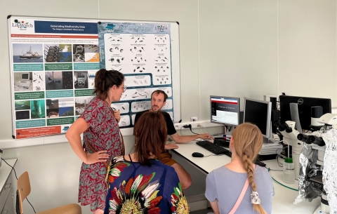 Searching synergies between IMEV and LifeWatch VLIZ