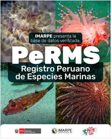 IMARPE presents the Peruvian Register of Marine Species platform