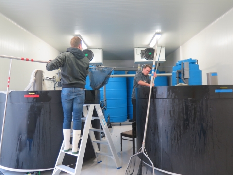 New: water tanks for marine organisms at the Marine Station Ostend New: water tanks for marine organisms at the Marine Station Ostend