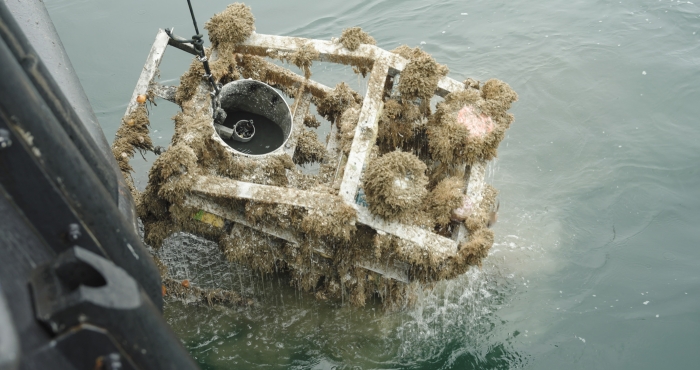 Acoustic equipment being retrieved with VLIZ acoustic team, North Sea, 2024 © John Janssens & Elise Guillaume