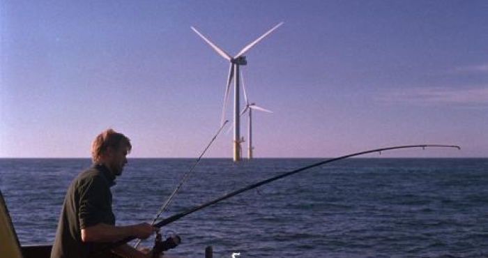 Telemetrie: de whereabouts van vissen