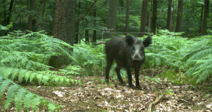 Agouti has a new look! New website and functionalities for improved user experience.