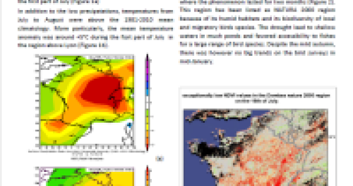 What are the ecological Implications of the drought in July and August in the Ain (France)? What are the ecological Implications of the drought in July and August in the Ain (France)?