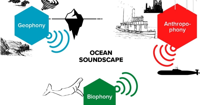 What is the difference in the soundscape of the Gulf of Tribugá in Colombia and the Belgian Part of the North Sea? What is the difference in the soundscape of the Gulf of Tribugá in Colombia and the Belgian Part of the North Sea?