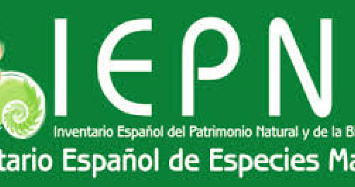 Spanish taxonomy and WoRMS Spanish taxonomy and WoRMS