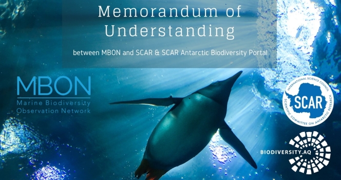 Coordinating the observation of biodiversity in the sea: a new collaboration Coordinating the observation of biodiversity in the sea: a new collaboration