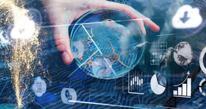 Coming soon: LifeWatch data cloud application with Belgian marine data for blue economy Coming soon: LifeWatch data cloud application with Belgian marine data for blue economy