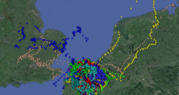 The LifeWatch Gulls and Harriers: who are they, what do they do, and where are they going?