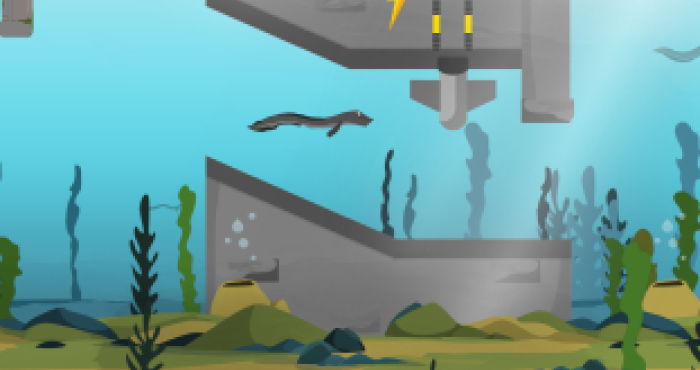 Use your gaming skills to save the eel! Use your gaming skills to save the eel!