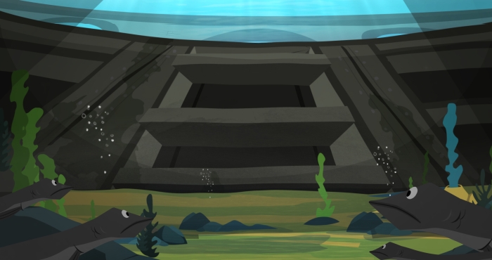 Big Five conservation measures for diadromous fish