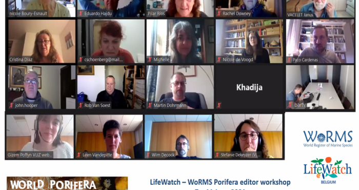 Porifera editors participated in the very first online organised WoRMS-LifeWatch editor workshop Porifera editors participated in the very first online organised WoRMS-LifeWatch editor workshop