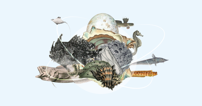 WoRMS and Marine Regions contribute to the OBIS-GBIF Action Plan for Marine Biodiversity Data WoRMS and Marine Regions contribute to the OBIS-GBIF Action Plan for Marine Biodiversity Data