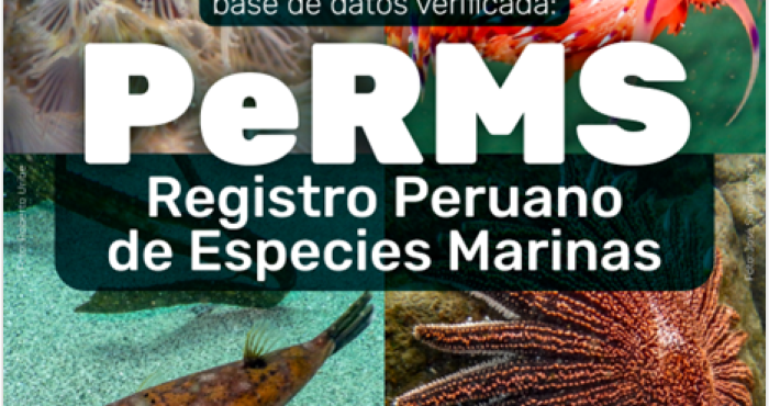 IMARPE presents the Peruvian Register of Marine Species platform IMARPE presents the Peruvian Register of Marine Species platform