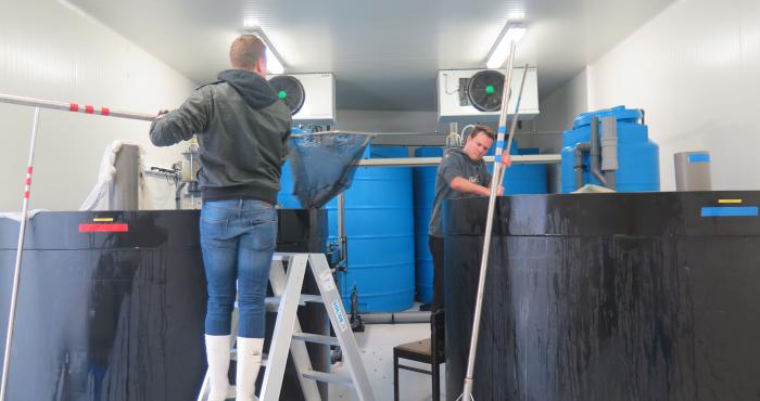 New: water tanks for marine organisms at the Marine Station Ostend New: water tanks for marine organisms at the Marine Station Ostend