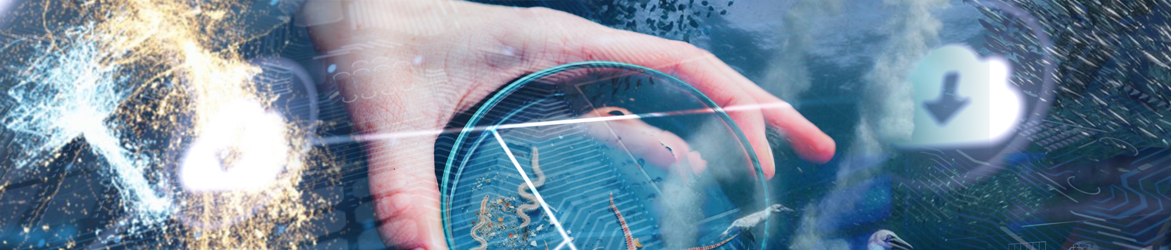 Lifewatch Data Cloud