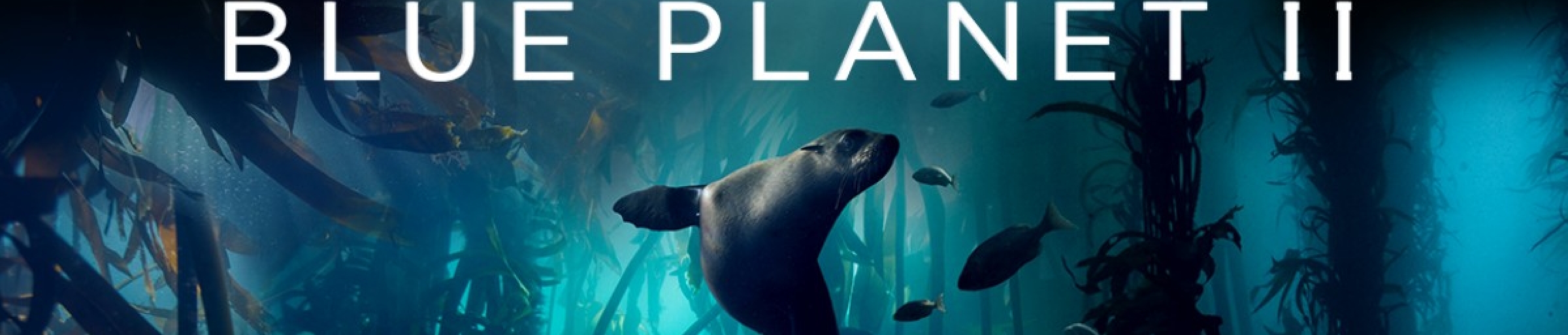 BluePlanetII_showtile