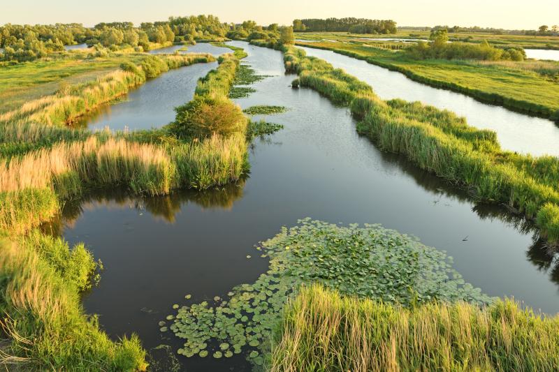 Vilda_143803_Blankaart__Yves_Adams_800_px_66654