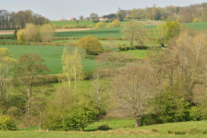 Vilda_165136_Kleinschalig_landschap_Yves_Adams_800_px_66656.