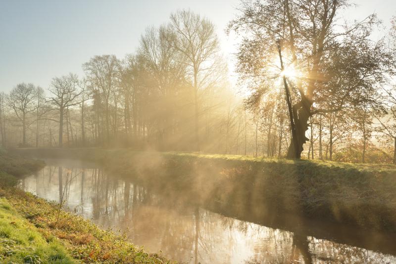 Vilda_100745_Vallei_van_de_Grote_Nete_Yves_Adams_800_px_66653