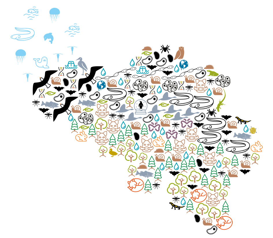 About_us_map_LW_BE.PNG 