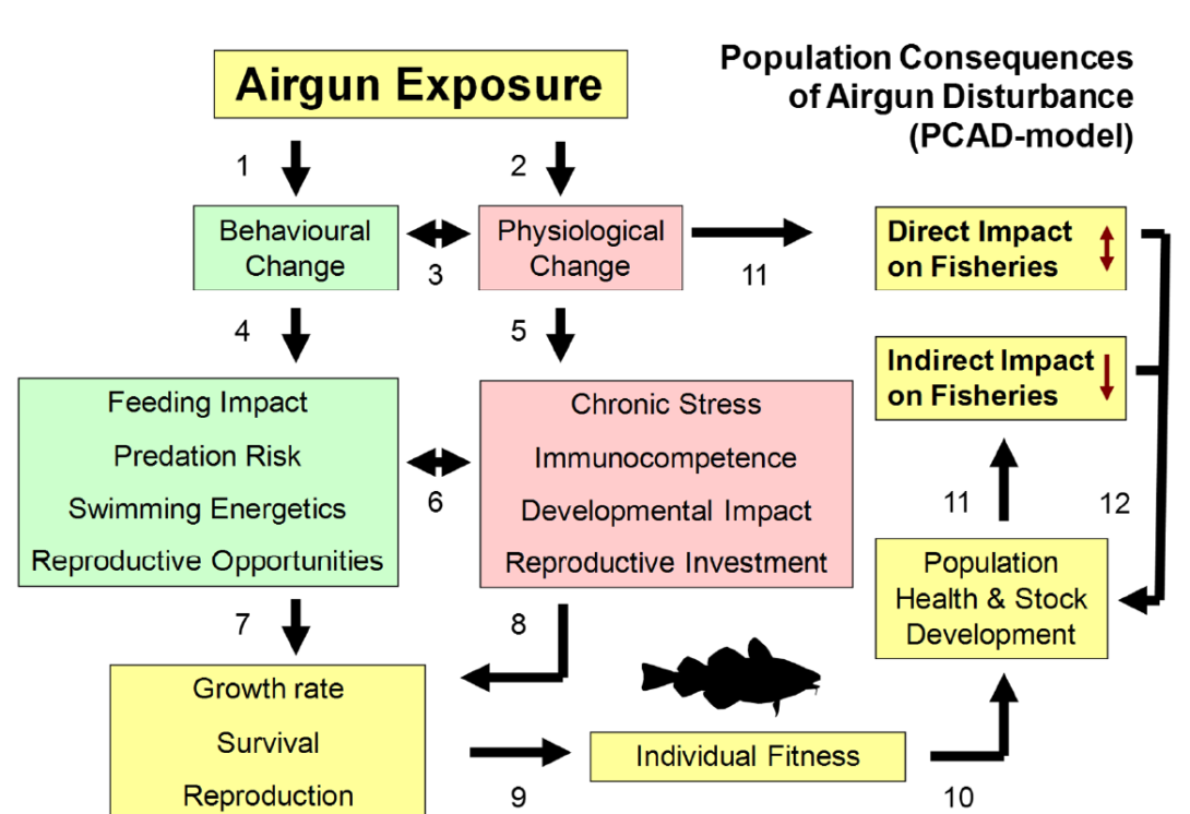 AtlanticCod_SeismicSoundExposure
