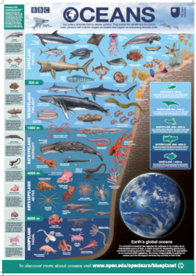 Blue Planet II poster